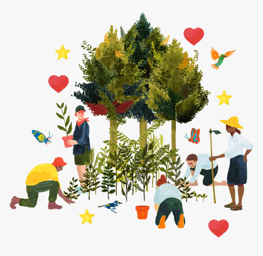 Gift Forest Visual Low 2 Compressor Compressor Compressor - Illustration, HD Png Download