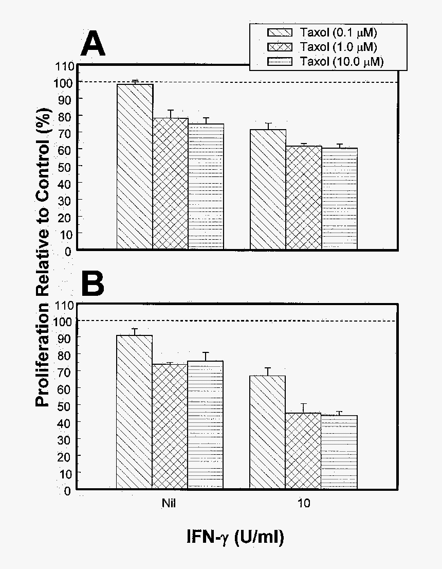 Diagram, HD Png Download