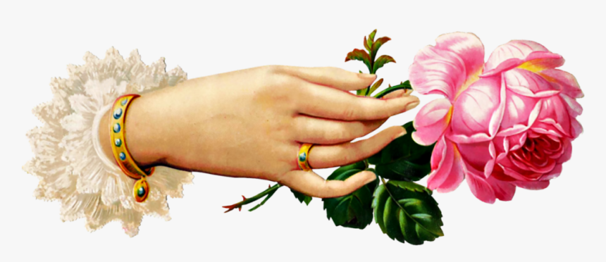 Victorian Rose Cliparts - Victorian Hand Holding Flower, HD Png Download