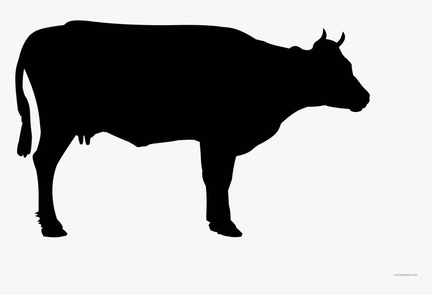 Cow Silhouette Clipart - Black And White Cow Png, Transparent Png
