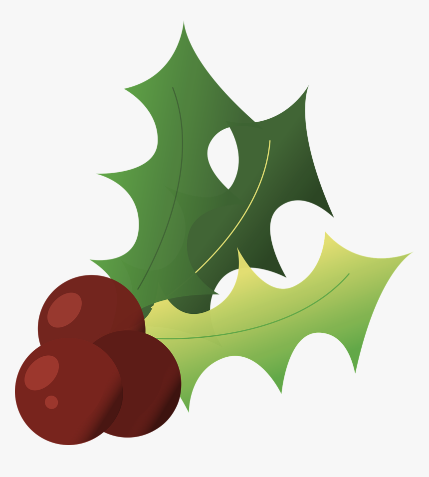 Holly Christmas Winter Free Picture - Christmas Holly, HD Png Download