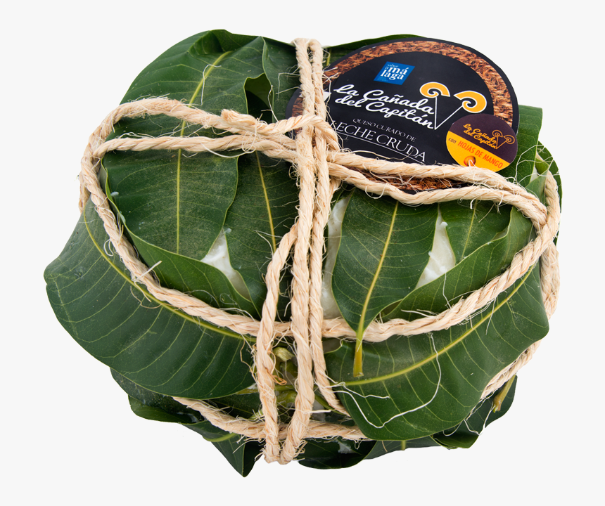 Queso Envuelto, HD Png Download