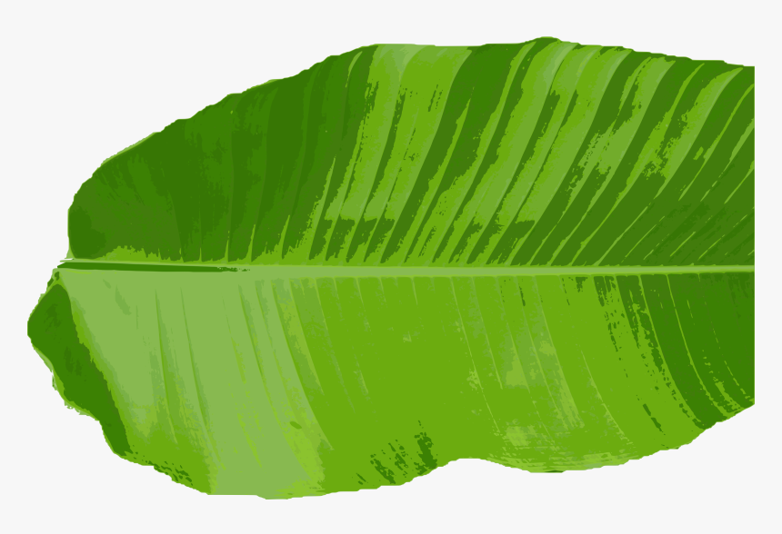 Leaf Clip Art Png, Transparent Png