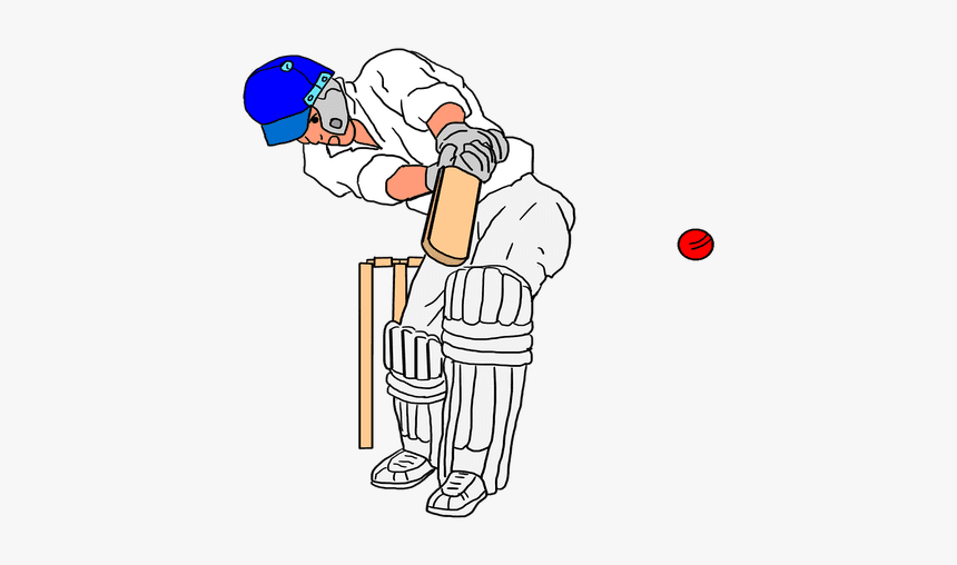 Cricket World Cup Special Quiz - Baseball, HD Png Download