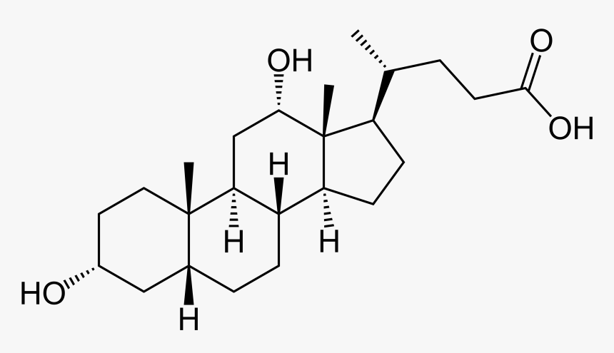 Deoxycholic Acid - Deoxycholic Acid Structure, HD Png Download
