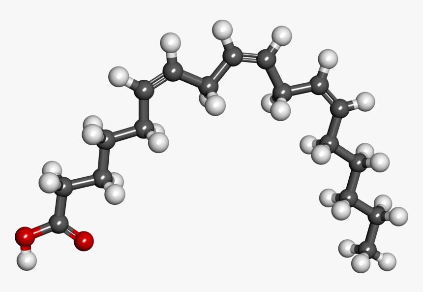 Gamma Linolenic Acid - Gamma Linolenic Acid Gla, HD Png Download