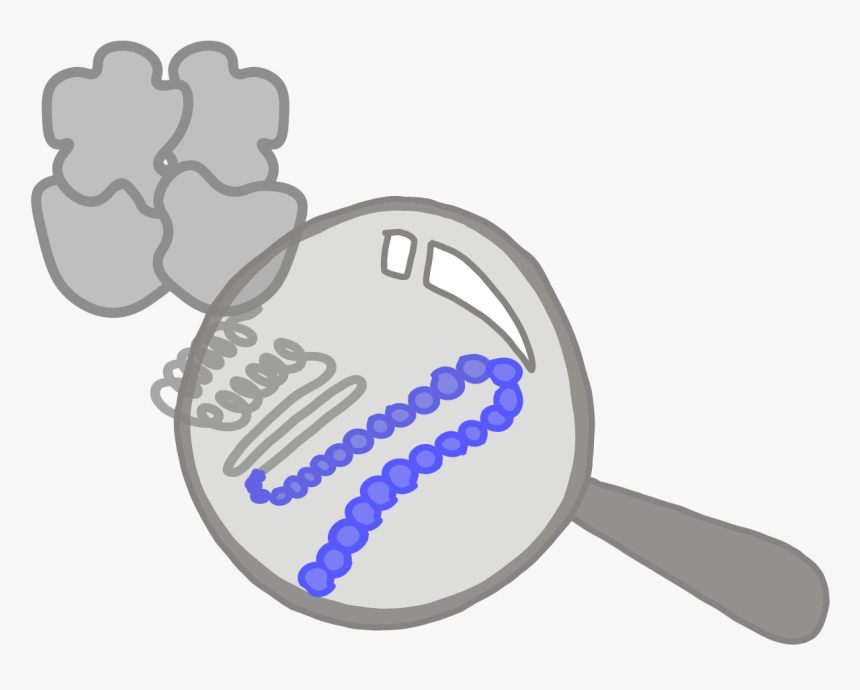 Amino Acid Protein Png, Transparent Png