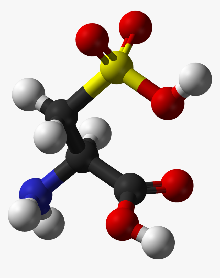 L Cysteic Ac - Amino Acids 3d, HD Png Download