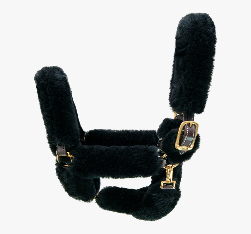 Shipping Halter - - Suede, HD Png Download