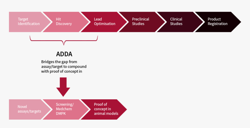 Knowledge, HD Png Download