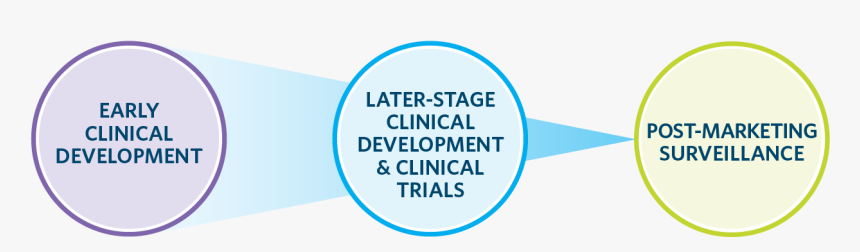 Clinical Drug Dev Web Graphic Transparent Bkgd - Discovery And Preclinical, HD Png Download