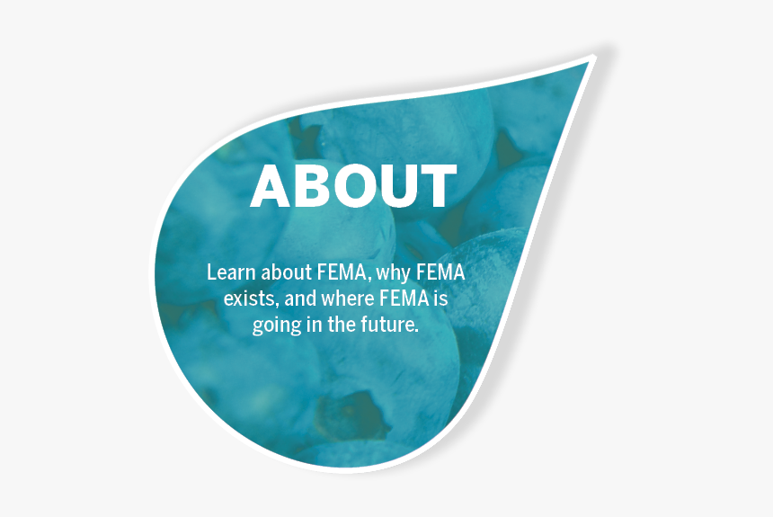 Poster, HD Png Download