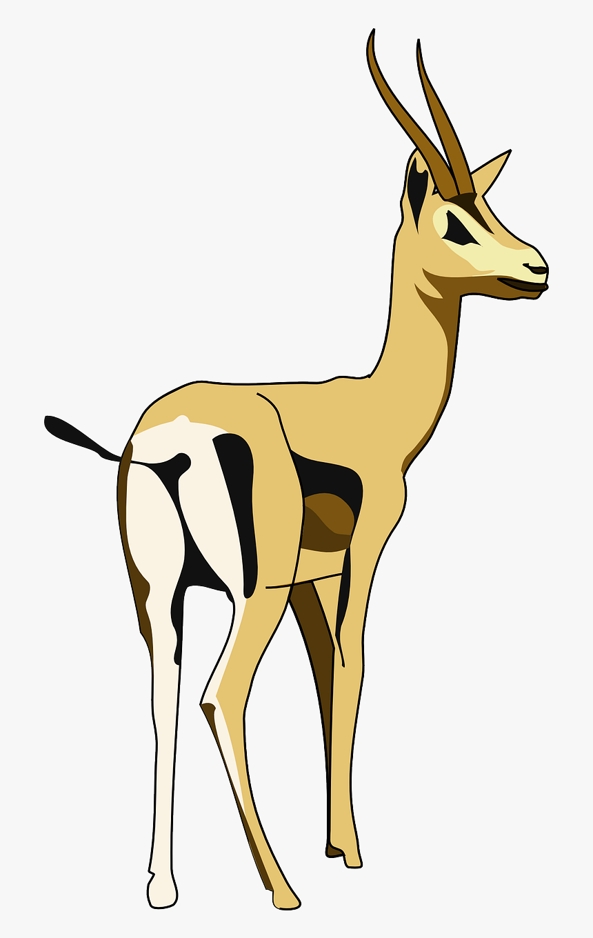 Clip Art, HD Png Download