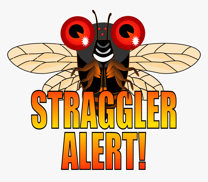 Cicadas 2017, HD Png Download