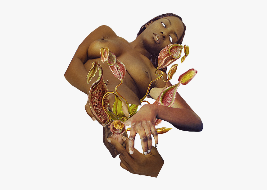 Psychedelic Tattoo, HD Png Download