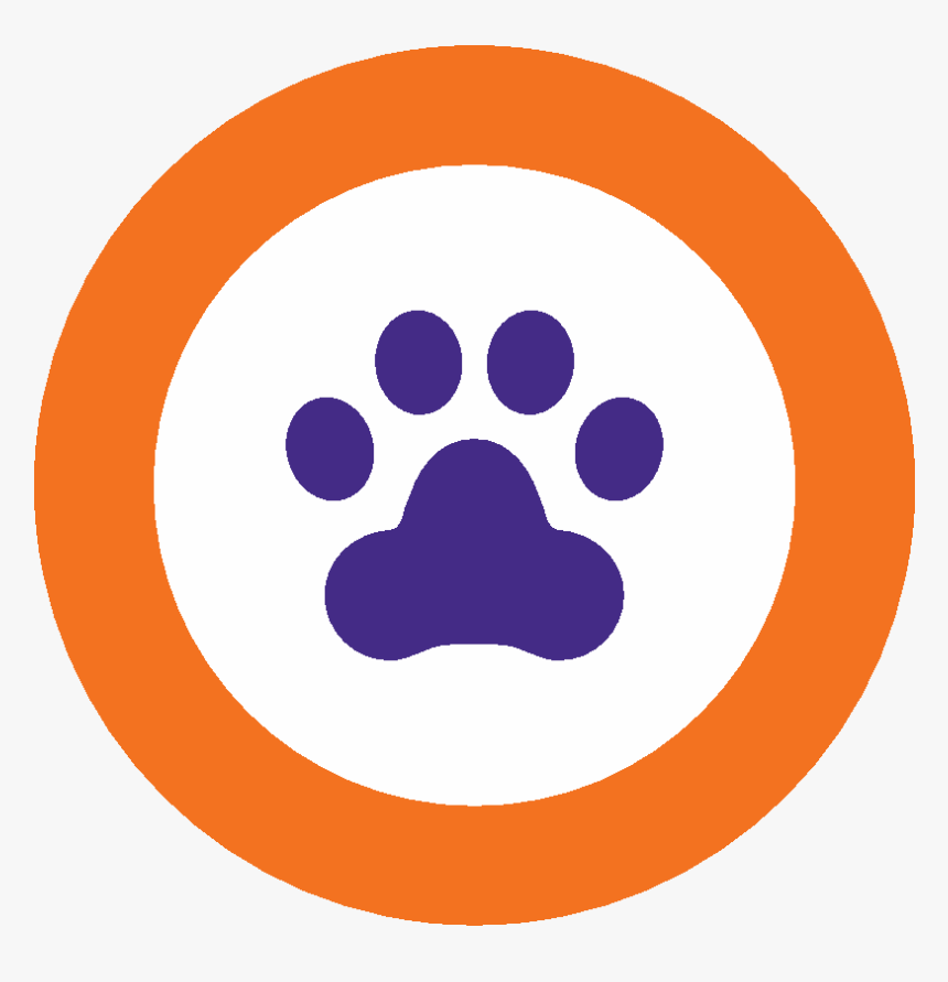 Circle, HD Png Download