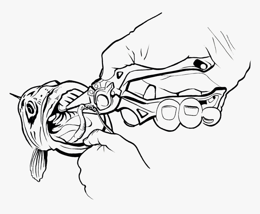 Line Art , Transparent Cartoons - Fishing Pliers Drawing, HD Png Download