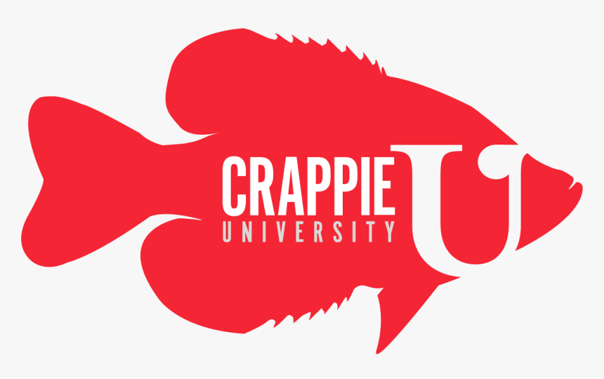 Crappie-u - Illustration, HD Png Download