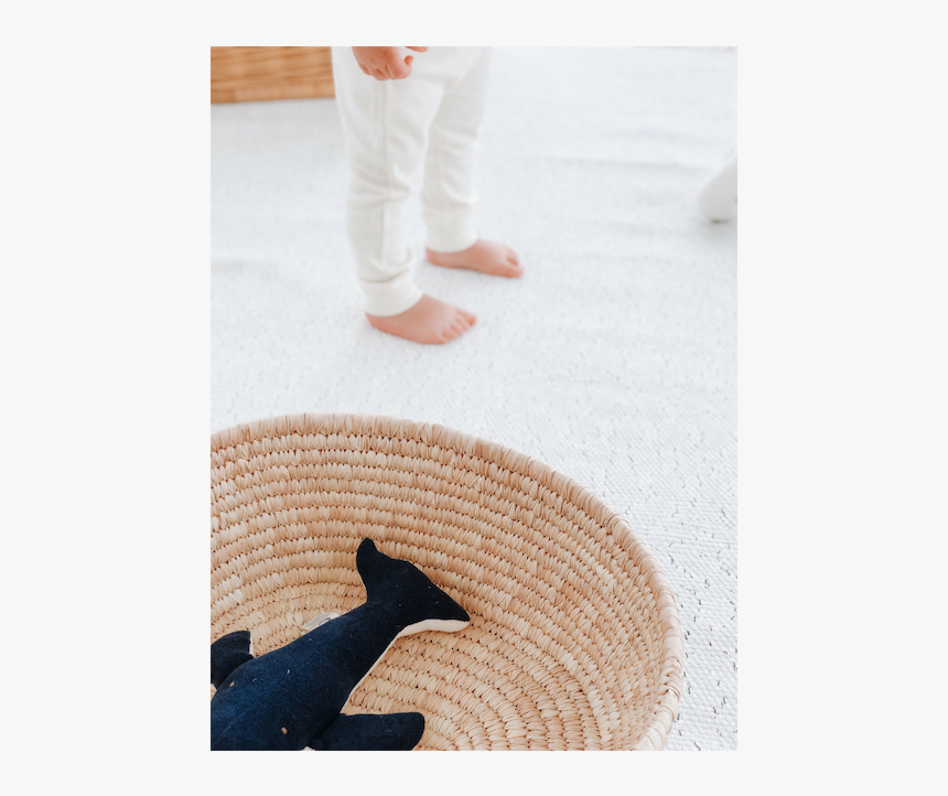 Deer, HD Png Download