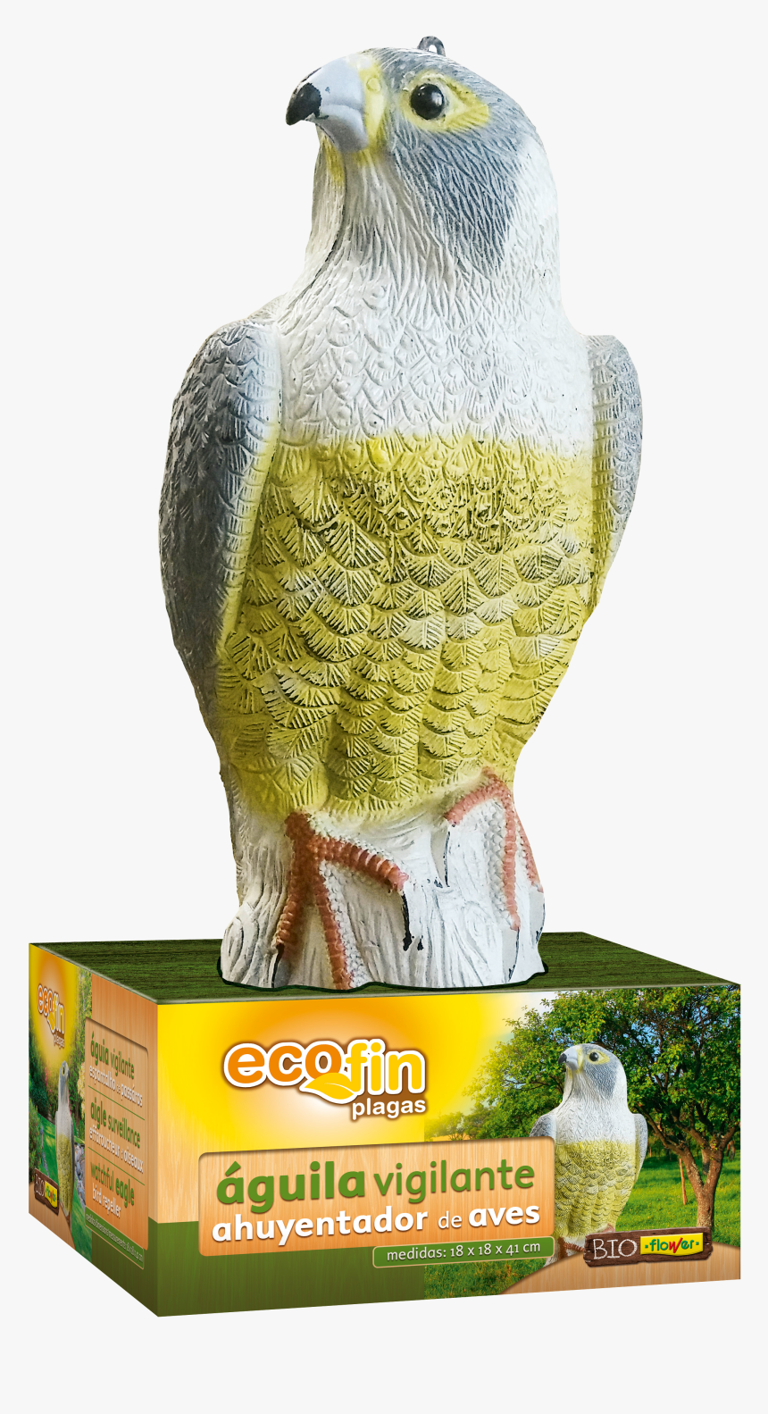 Transparent Aves Png - Macaw, Png Download