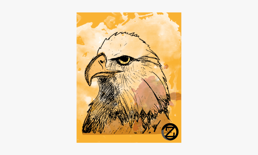 Águila - Hawk, HD Png Download