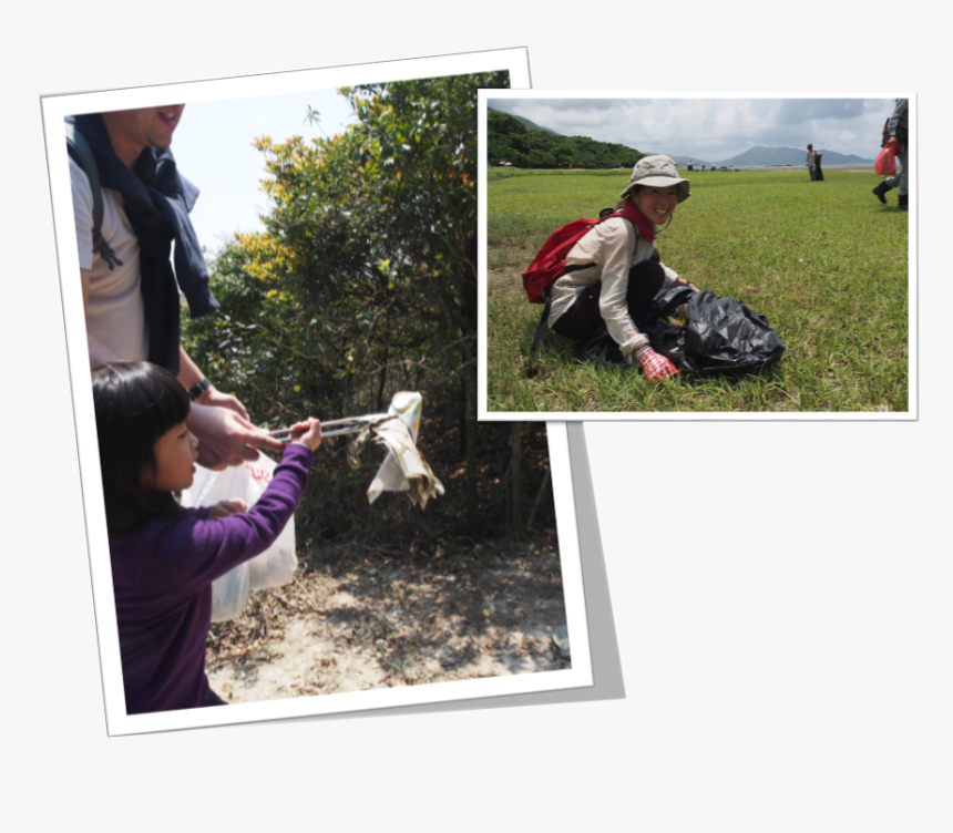 Transparent Green Earth Png - Grass, Png Download