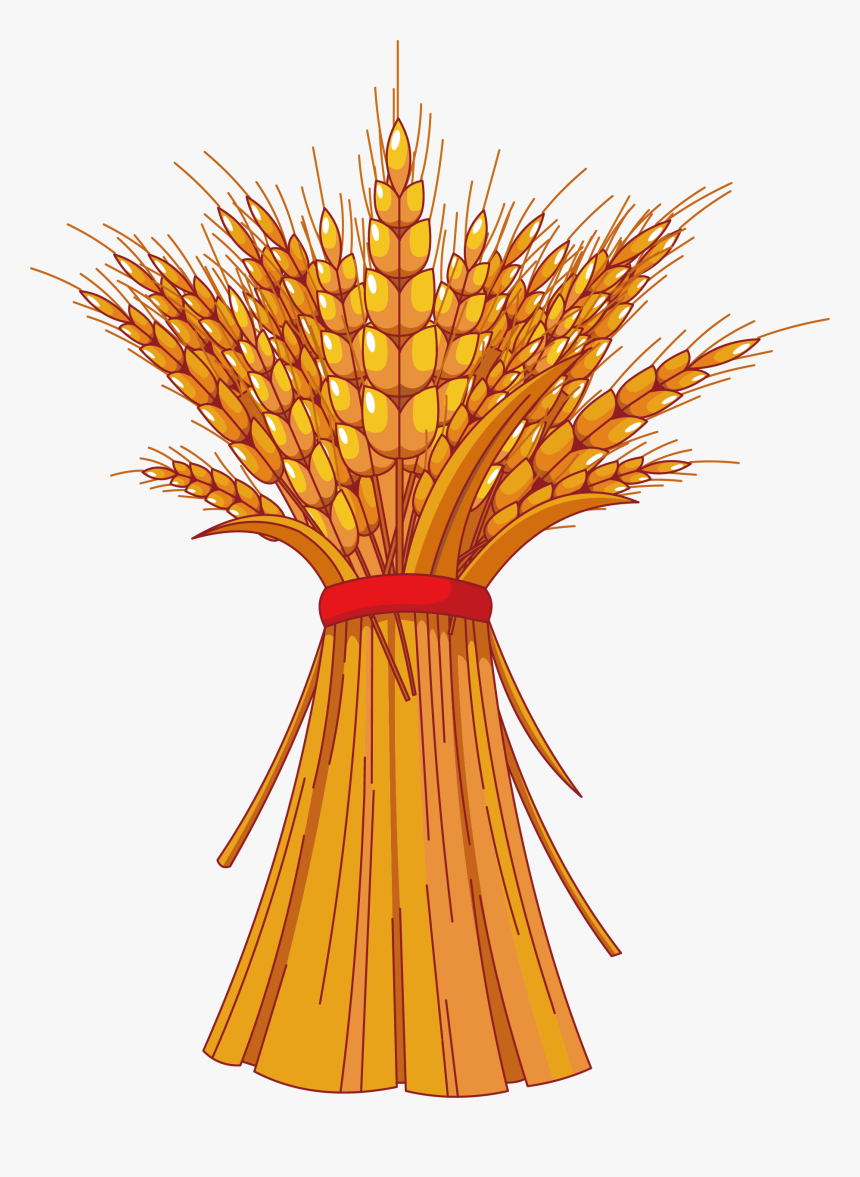 Harvest Clipart Decoration - Fall Corn Stalks Clipart, HD Png Download