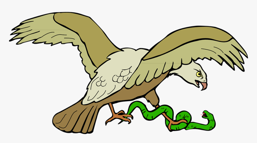 Aguila Volando - Eagle Eating Snake Clipart, HD Png Download
