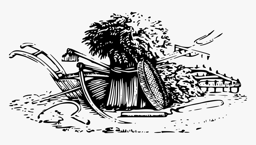 Wheat Harvest - Wheat Harvest Clip Art, HD Png Download