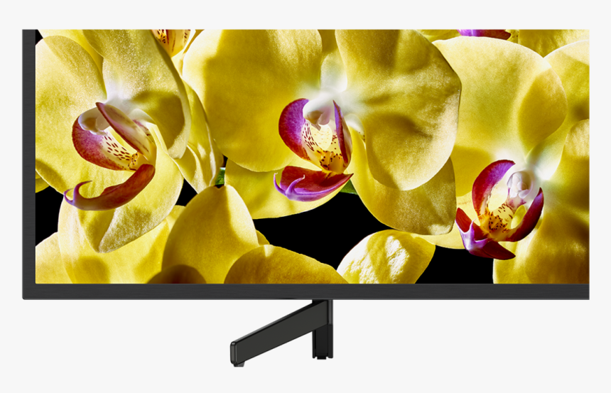 43 - Sony Kd 43x8000g, HD Png Download