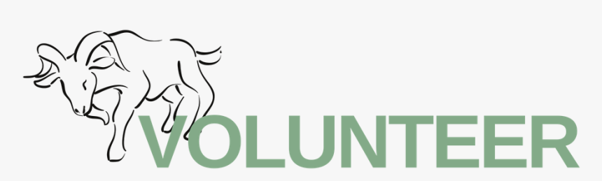 Copy Of Untitled, HD Png Download