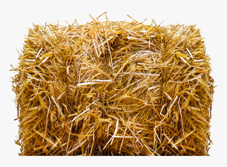 Hay Bale Png, Transparent Png