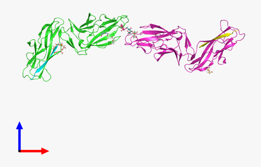 Clip Art, HD Png Download