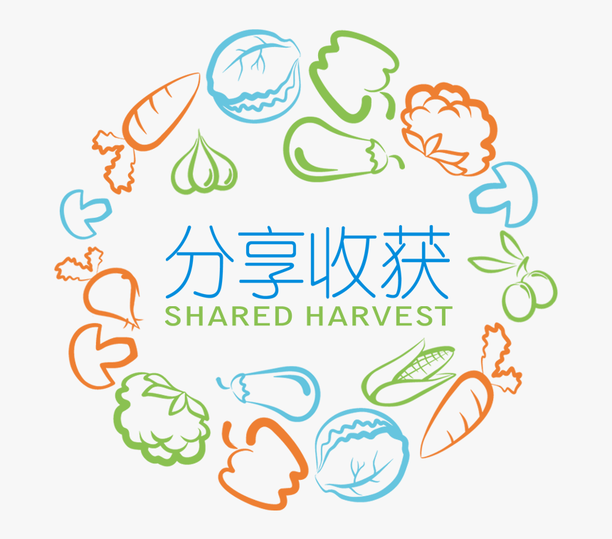 Vector Vegetables, HD Png Download