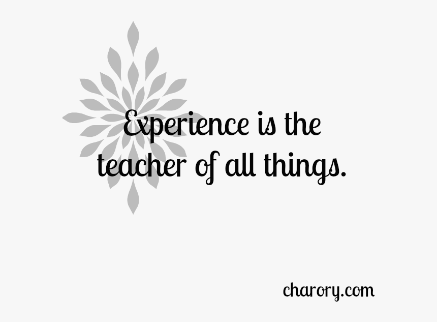 Experience Is The Teacher Of All Things - Implement, HD Png Download