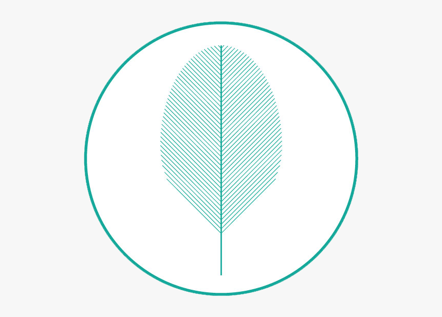 20171127 Logo Cf Circulo - Circle, HD Png Download
