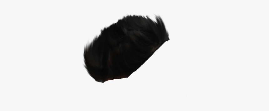 Lace Wig, HD Png Download