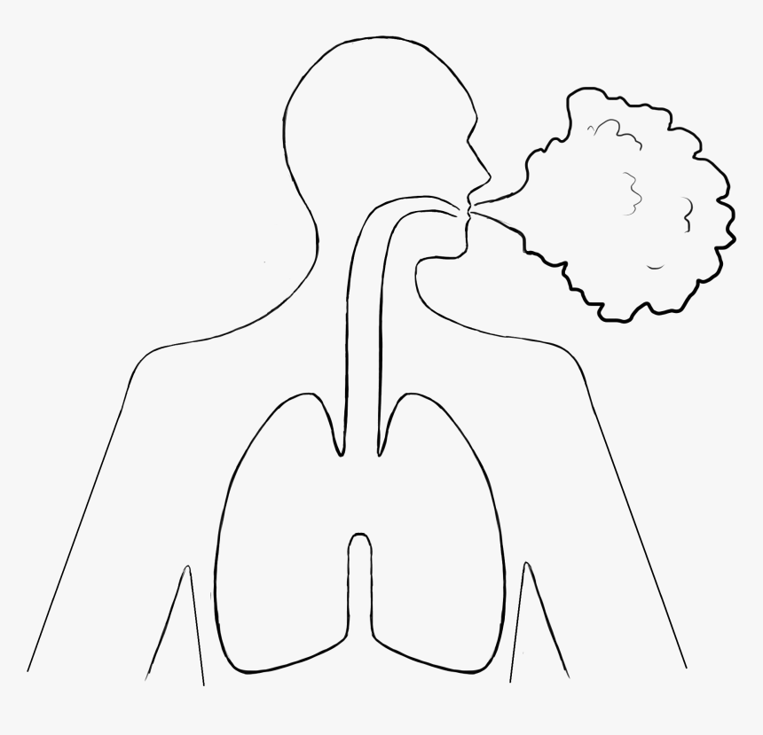 Line Art, HD Png Download