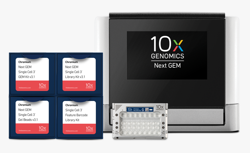 Chromium 10x Genomics, HD Png Download