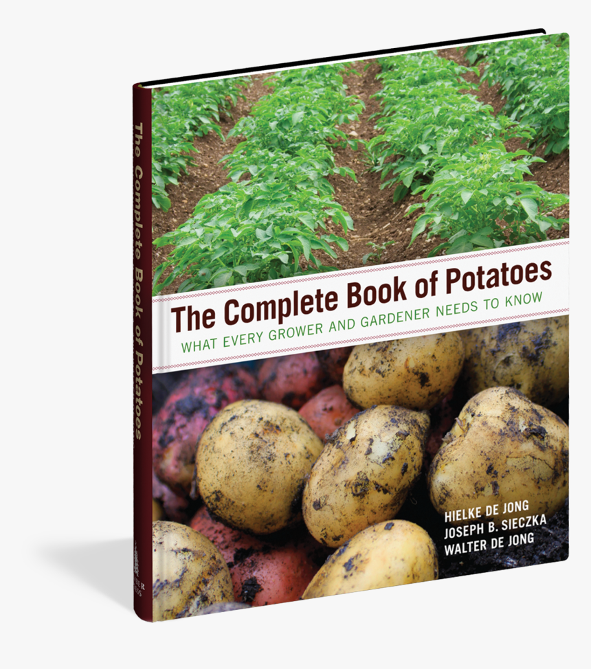 Potatoes Png , Png Download - Russet Burbank Potato, Transparent Png