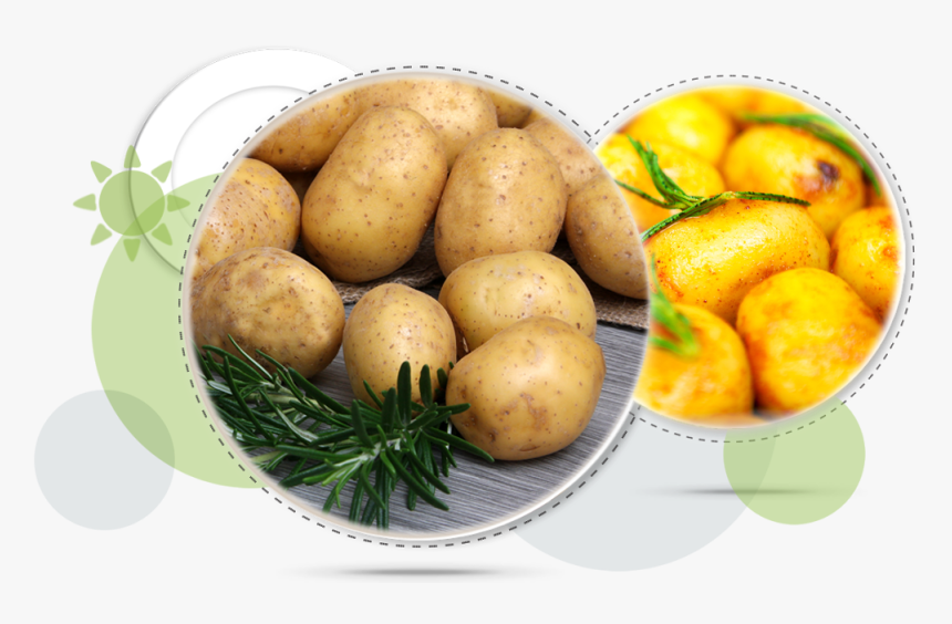 Staple Food Of Europe, HD Png Download