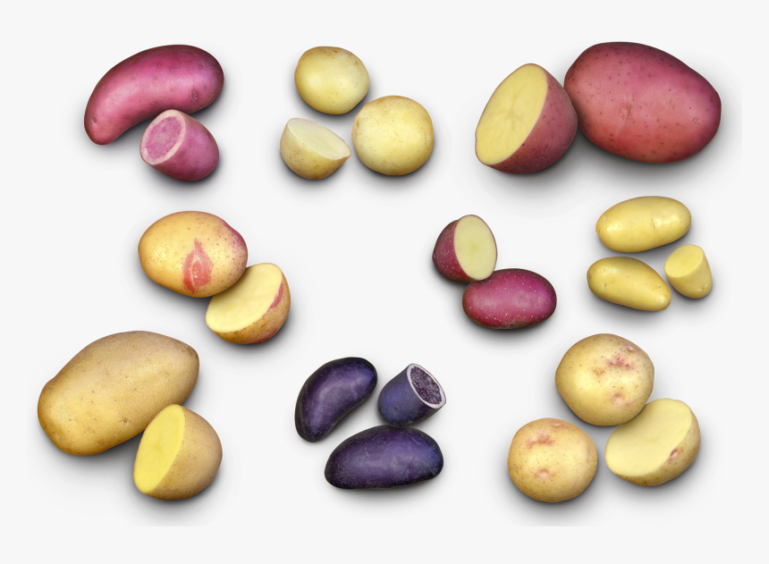 Potatoes Seeds Canada, HD Png Download