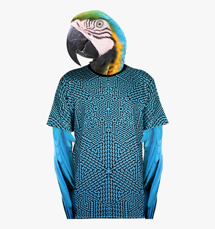 Macaw, HD Png Download