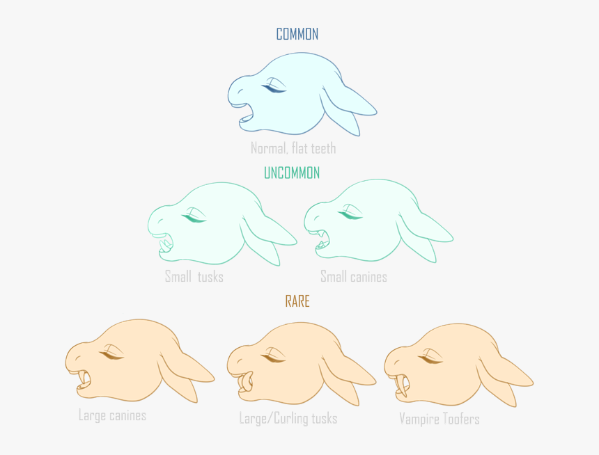 Picture - Fish, HD Png Download