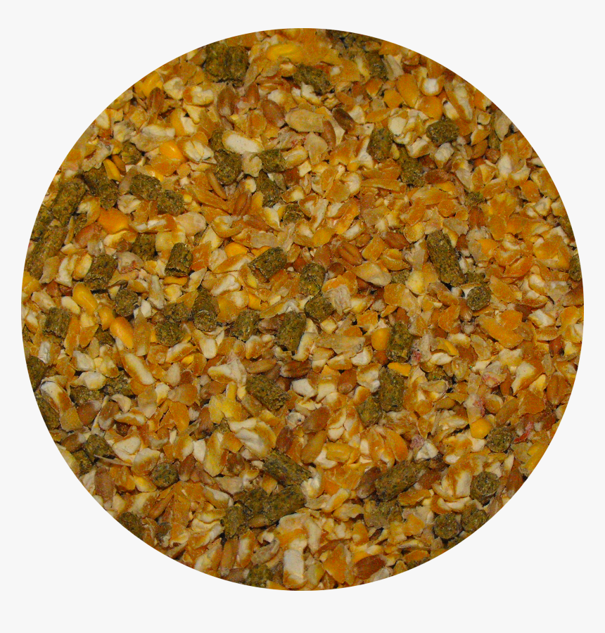 Transparent Circle Game Png - Gravel, Png Download