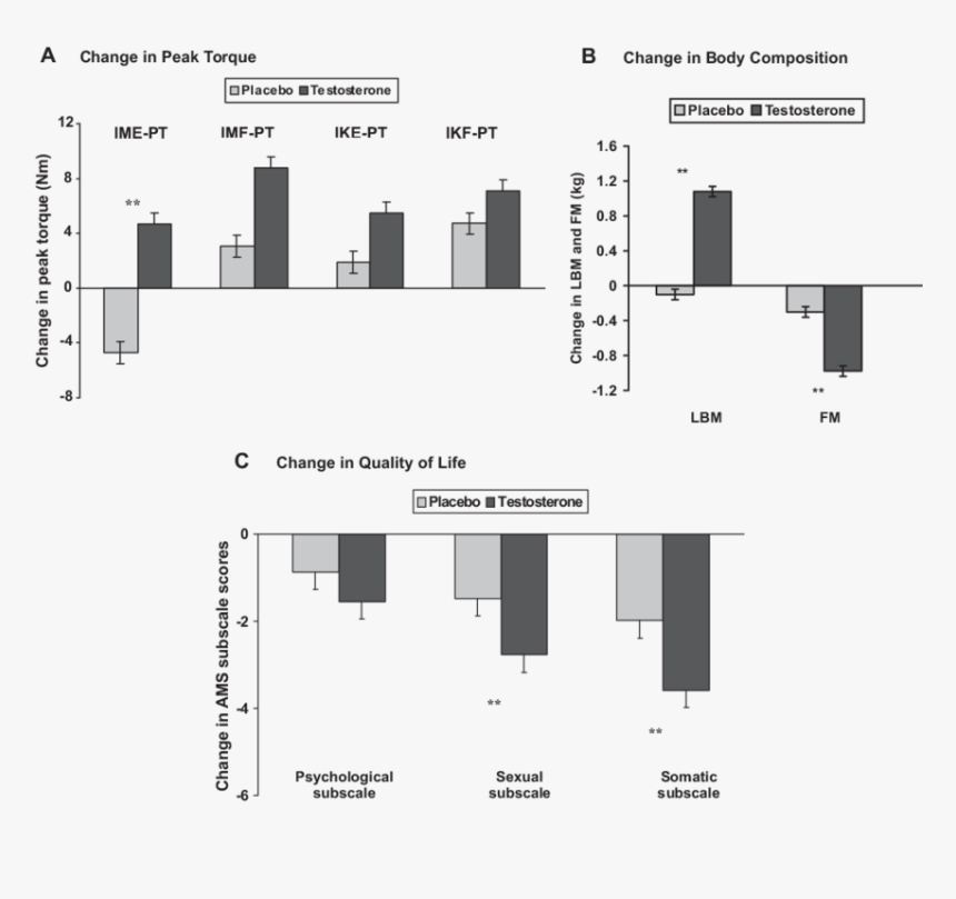 Diagram, HD Png Download