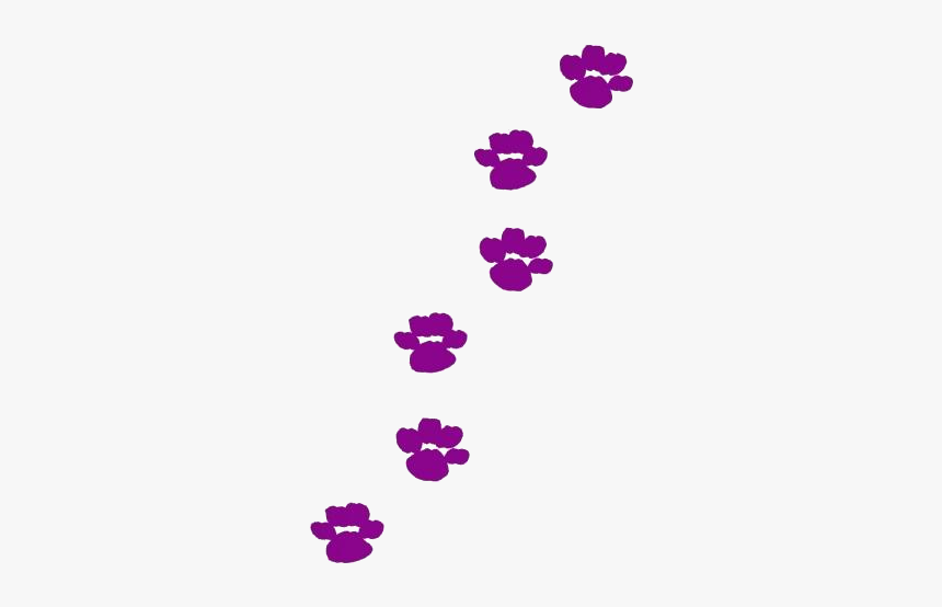 Transparent Paws Claws Art Clipart, Paws Claws Art, HD Png Download