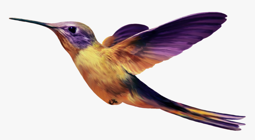Birds Png Images Free Download, Birds Png - Purple And Yellow Hummingbird, Transparent Png