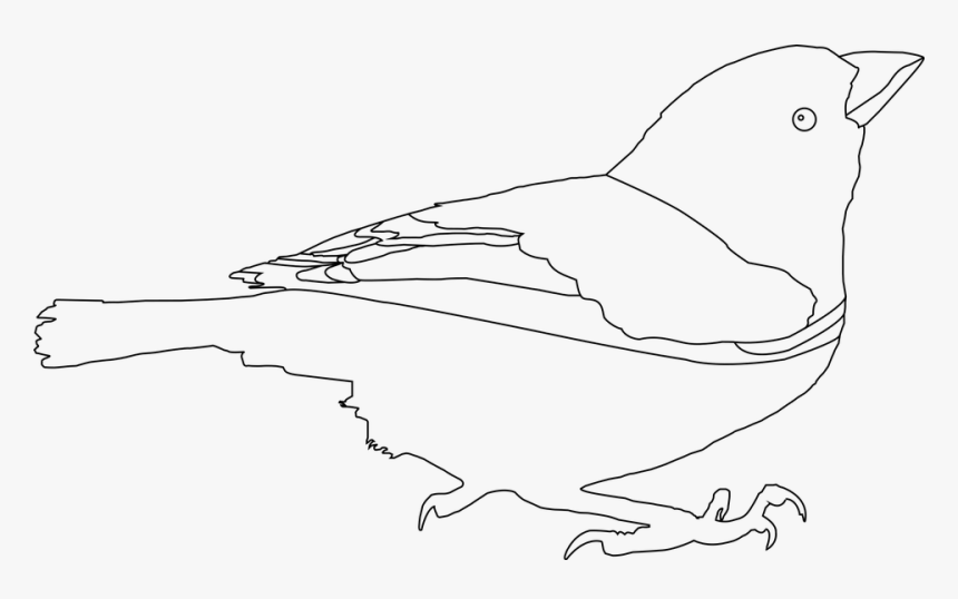 Black And White, Line Art, Art Bard, Drawn, Artist - Sort Hvid Stregtegning Png, Transparent Png