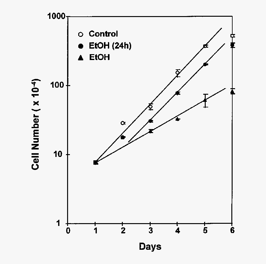 Plot, HD Png Download